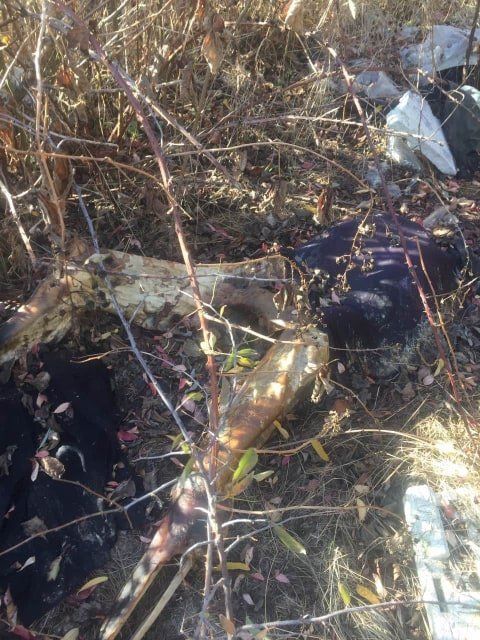 Устанавливают обстоятельства смерти: Полуразложившееся тело обнаружили в Виноградово