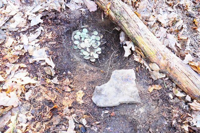 Приятный сюрприз!: В Чехии пара туристов нашла в лесу редчайший клад XIV в. (ФОТО)