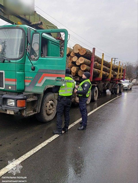 Фейковые бирки не прокатили: В Закарпатье вляпался перевозчик нелегальной древесины