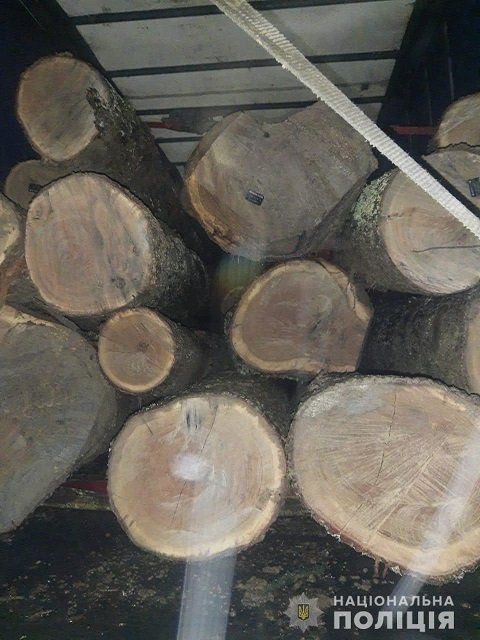 Не проскочили: В Закарпатье задержали 2 MANа полных древесины 