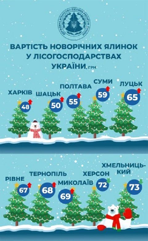 Названы цены новогодних ёлок в Закарпатье и городах Украины