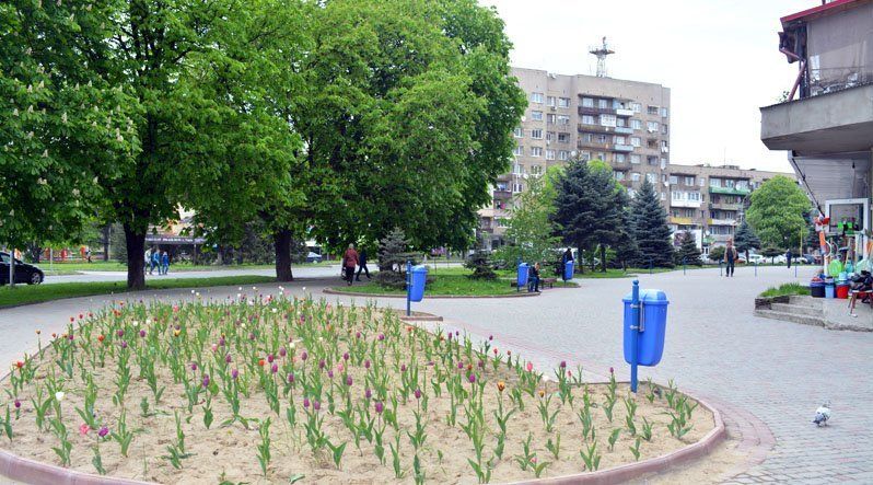 В Ужгороді зацвіло 12 тисяч тюльпанів
