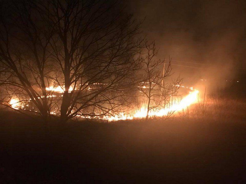 Возле объездной Ужгорода возник сильный пожар