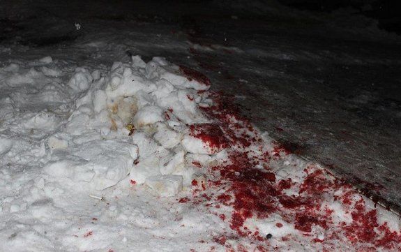 Возле Житомира львовские бандиты расстреляли толпу местных криминалитетов