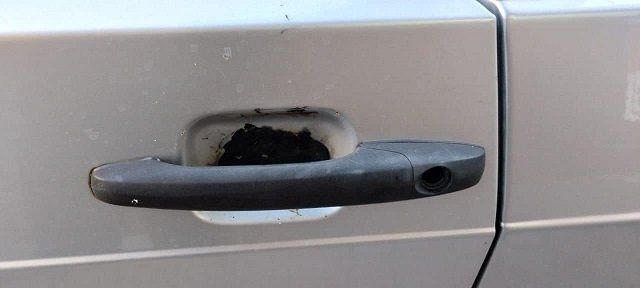 В Закарпатье владелец авто поймал на горячем рецидивиста