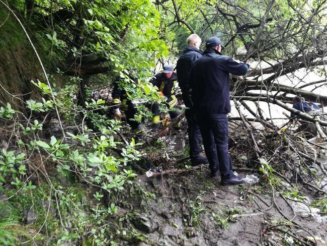 Появились фотографии места, где обнаружили труп школьника в Закарпатье