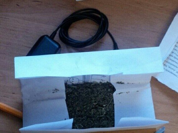 В съемной квартире в Ужгороде полиция нашла марихуану