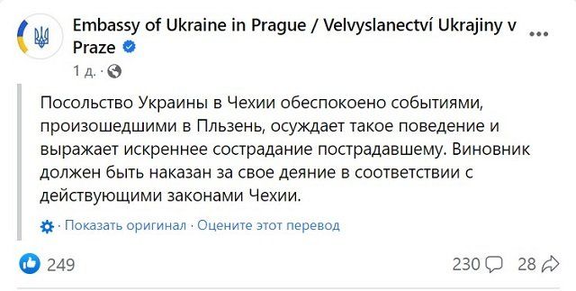 В Чехии за изнасилование арестовали украинца - посольство Украины отреагировало