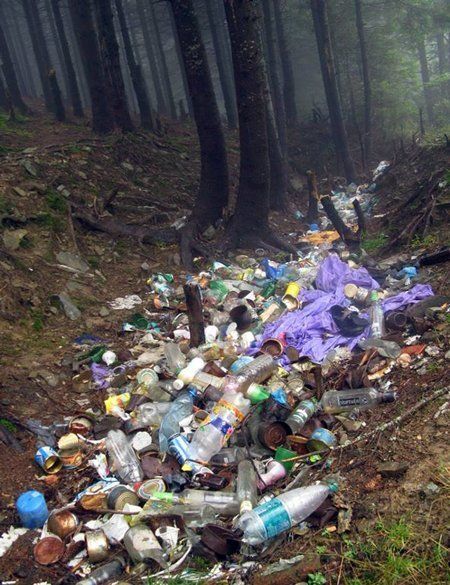 Закарпатцы оставляют мусор в лесах