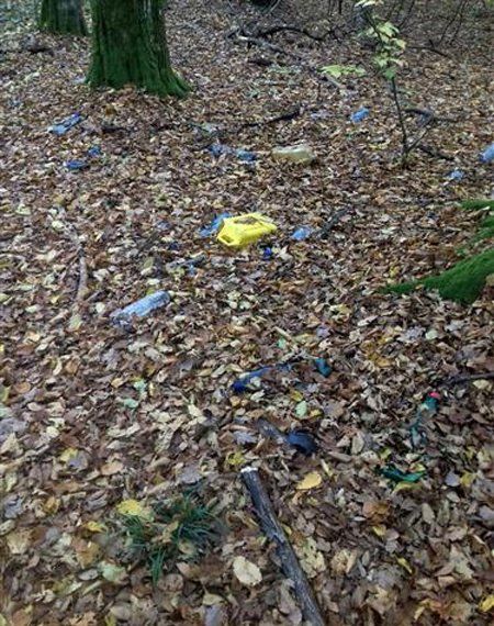 Закарпатцы оставляют мусор в лесах