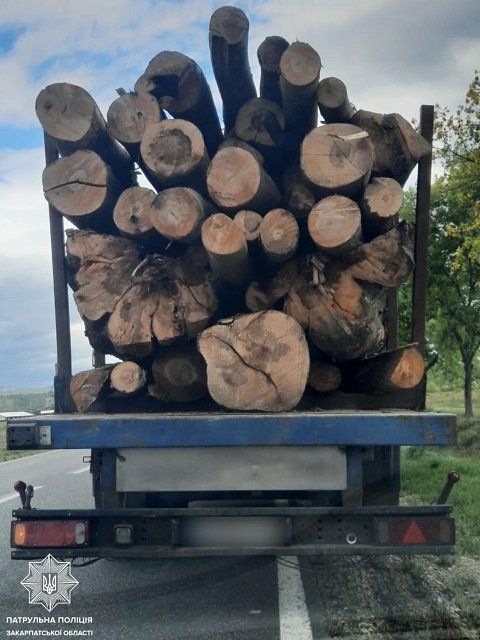 В Закарпатье перевозчик леса вляпался из-за недоделанных документов