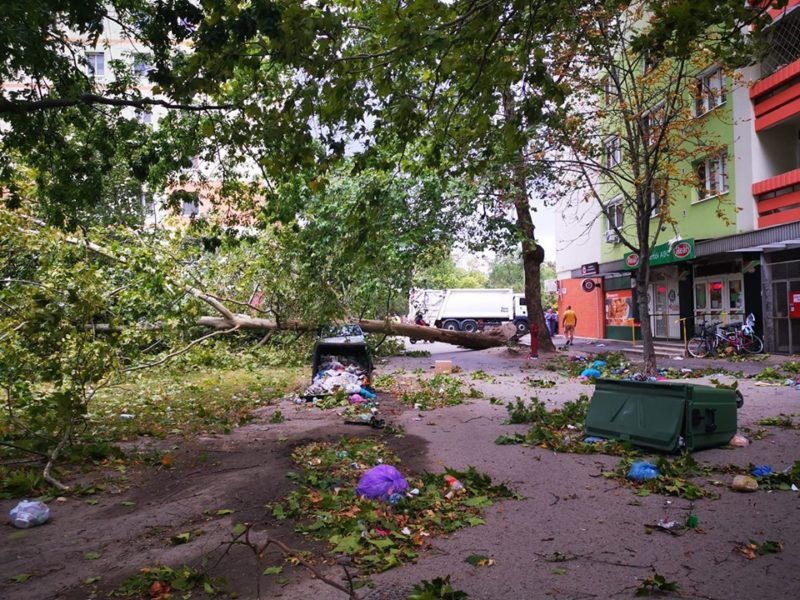 В Венгрии бушует ураган: Вырваны деревья, порваны электропровода