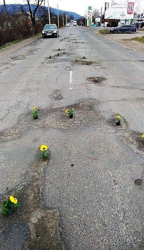 На Закарпатье жители "посадили" в ямы сотню цветов к приезду Президента Украины 