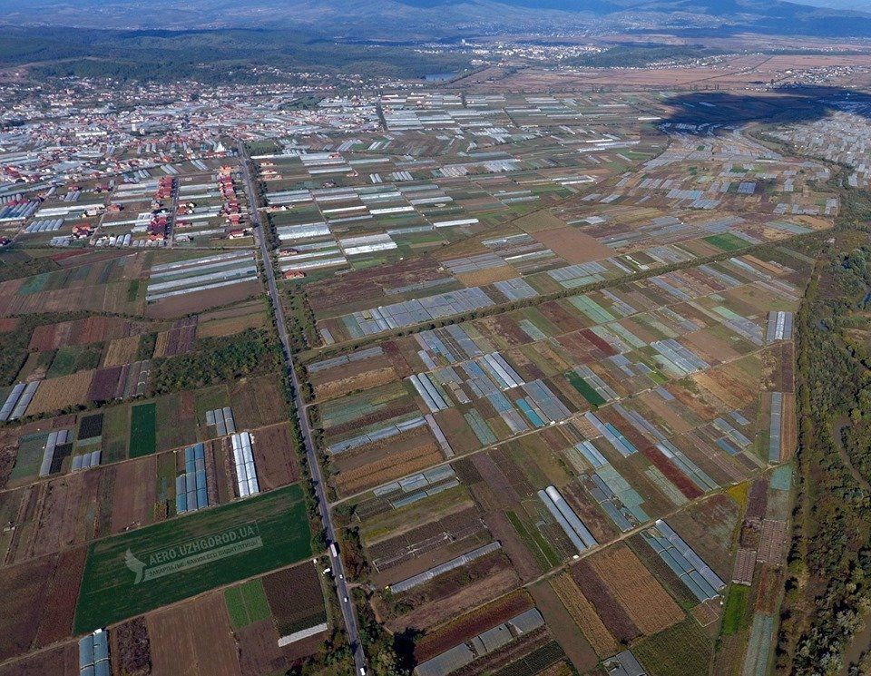 В Закарпатье с высоты дрона показали свою версию "силиконовой долины" 