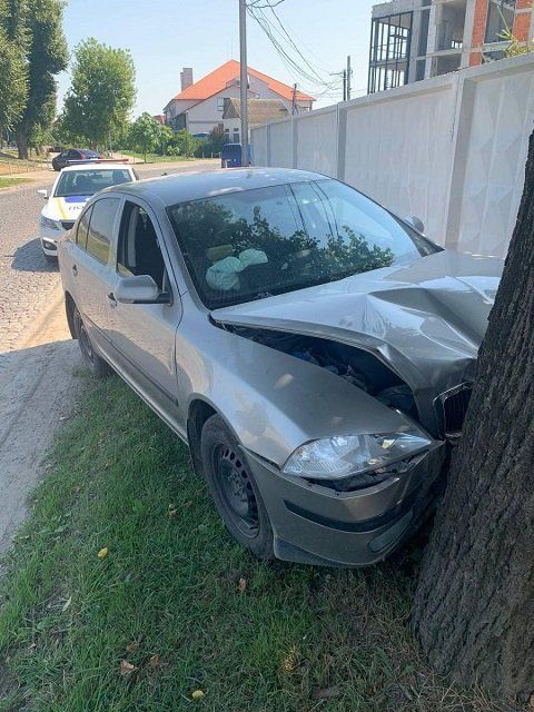 Пьяное ДТП в Закарпатье: 70-летний "шумахер" припарковался в дерево 