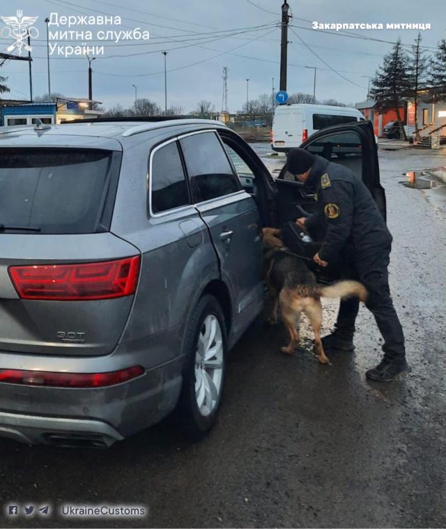 В Закарпатье на границе собака спалила любителя "кайфа" из Киева