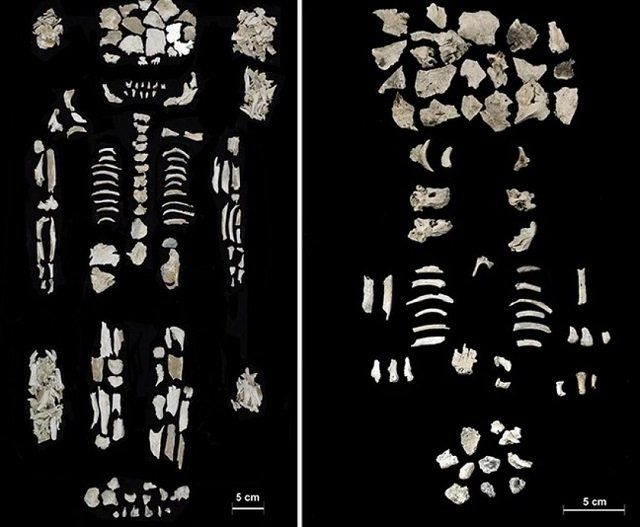  Во время раскопок на берегу Дуная археологи обнаружили 525 кремационных урн древней культуры Ватя.