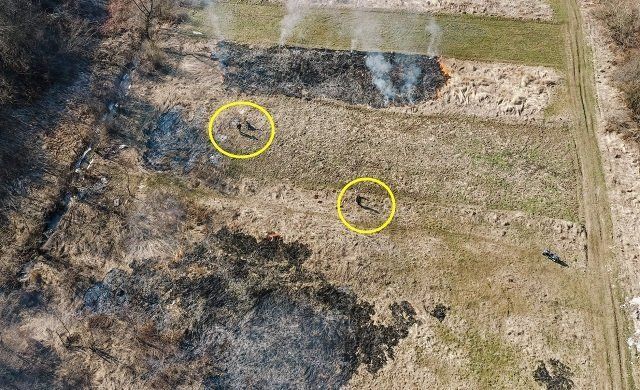 В Закарпатье паскудников - поджигателей сухостоя "поймал" дрон 