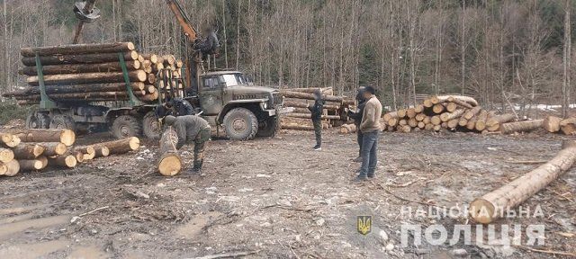 Война не помеха: В Закарпатье обнаружили тайные склады черных лесорубов 