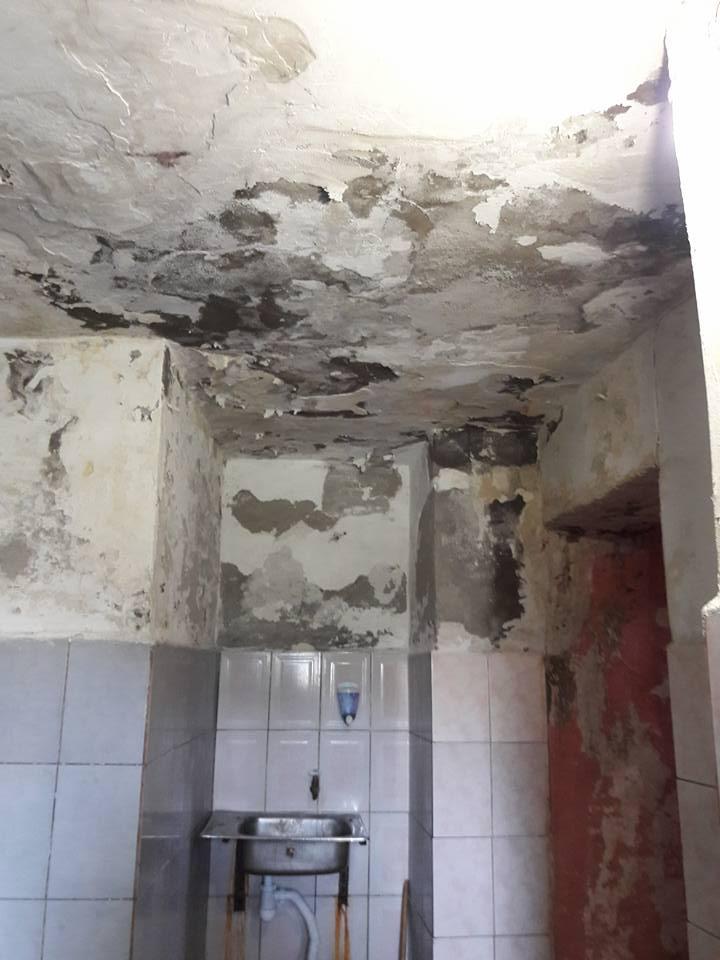 У платному громадському туалеті в центрі Ужгорода — повна антисанітарія!