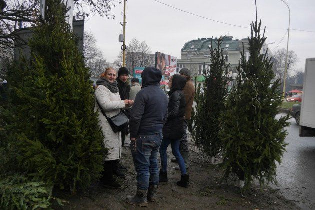 Недобросовісних продавців ялинок виявляли на «П’яному базарі» в Ужгороді