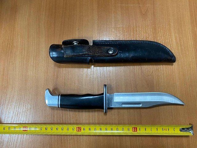 В Закарпатье, через КПП Солотвино, иностранец пытался провезти нож и патроны