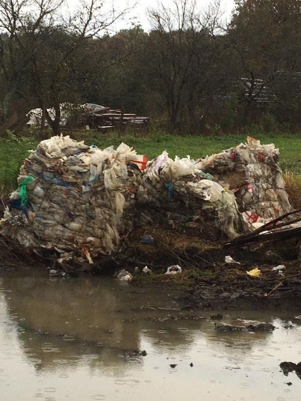 "Дикая" мусорная находка в Закарпатье - люди, вы совсем уже "ошалели"?