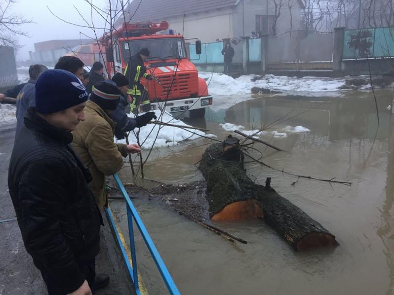 Закарпатская область потопает от наводнения, появилось видео