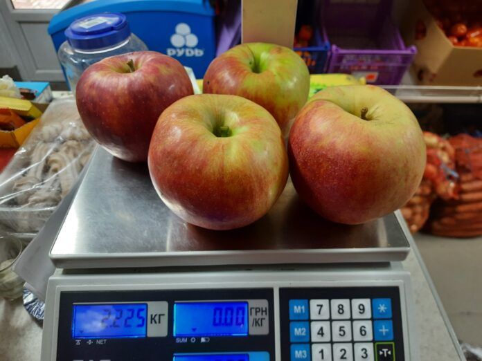 Невероятно! Урожай яблок-гигантов собрали в Закарпатье