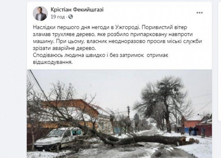 Власти Ужгорода "сигналы" проигнорировали - сегодня дерево могло убить людей