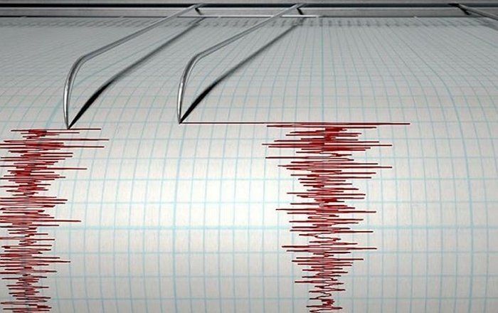 В Закарпатье зафиксировано землетрясение - первое в Новом году!