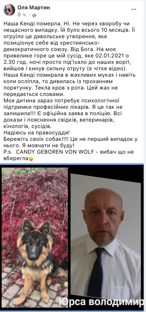 В Ужгороде бывший претендент на мэрское кресло "подбросил" собаке сильный яд!