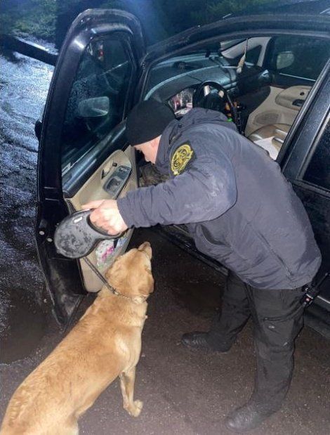 Прикордонний пес не пропустив марихуану через кордон в Ужгороді