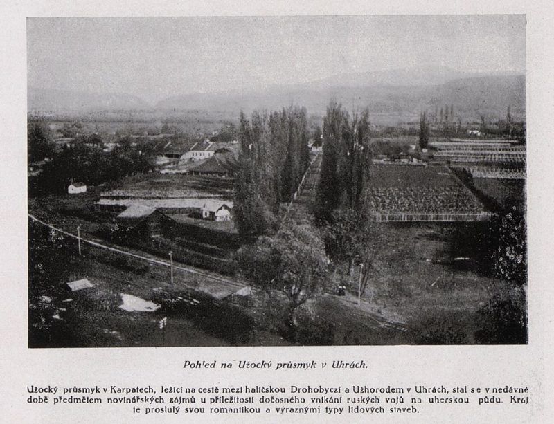 В сети едва ли "раскопали" фото того, как выглядел Ужгород больше 100 лет назад 