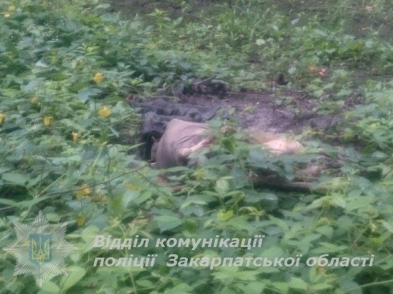 В Мукачевском районе нашли скелетированное тело