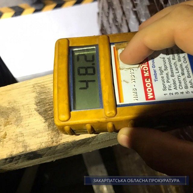 В Закарпатье предпринимателя поймали на контрабанде ценной древесины в Евросоюз
