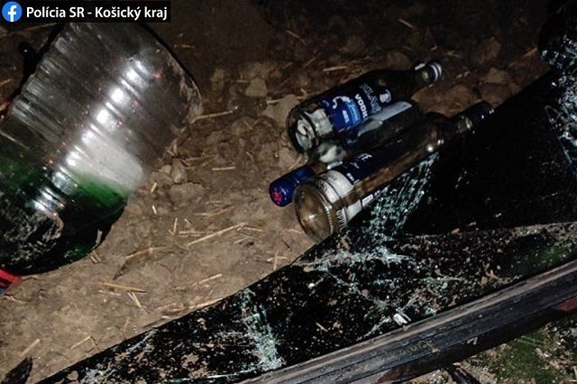 В Словакии пьяный украинец на фуре вылетел на обочину и перевернулся