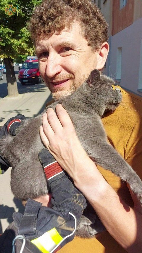 В Ужгороде спасатели помчались на помощь кошке 