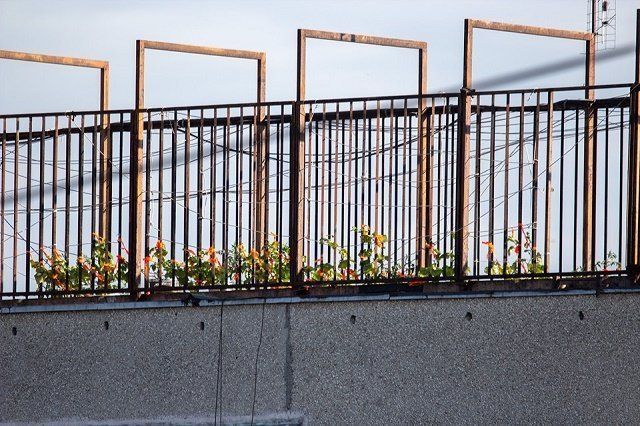 В сети Facebook опубликовали снимки огорода на крыше в Ужгороде 