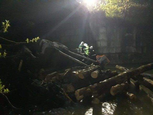 Под Ивано-Франковском с моста в реку Свича упал лесовоз, 2 погибших