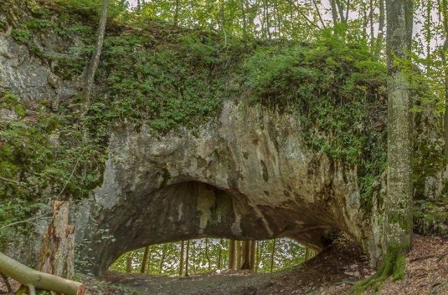 Загадочный подземный мир: Самая большая, сказочная пещера Карпат находится в буковом лесу в Закарпатье
