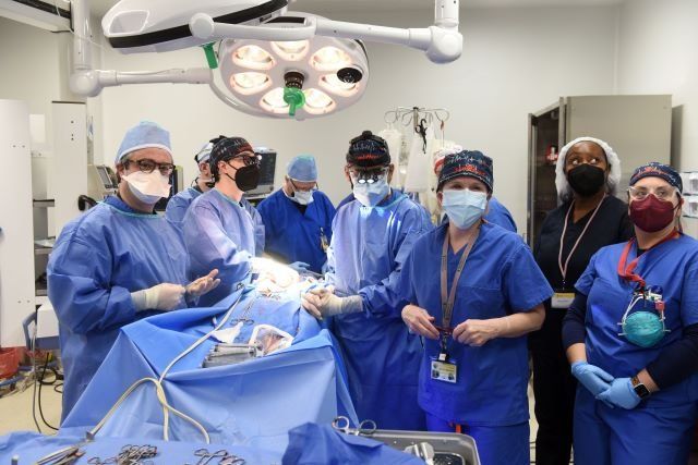 Человек с сердцем животного: В США провели уникальную операцию по пересадке
