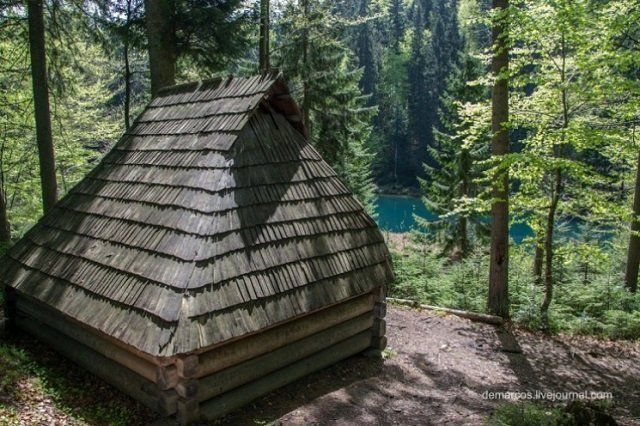 Дикое озеро в Закарпатье: Удивительная красота среди елового леса