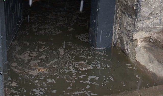 В Мукачево застоявшаяся "трупная" вода попадает в скважины и колодцы местных жителей