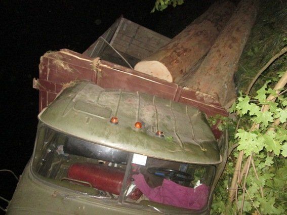 В Закарпатье погибли два "черных" лесоруба
