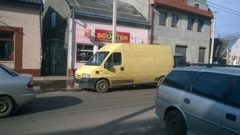 Гибридный олень "желтой масти" перекрыл половину улицы Мукачевской