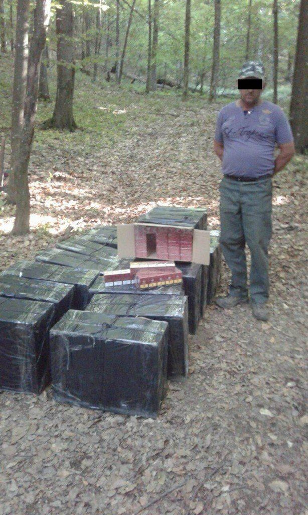 Житель Закарпатья лошадьми пытался доставить контрабандные сигареты в Румынию