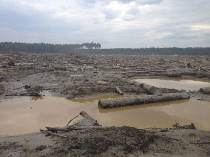 На Житомирщині та Рівненщині не за горами екологічна катастрофа