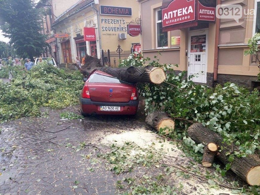 Дерево раздавило автомобиль марки" Дачия "на улице Корятовича