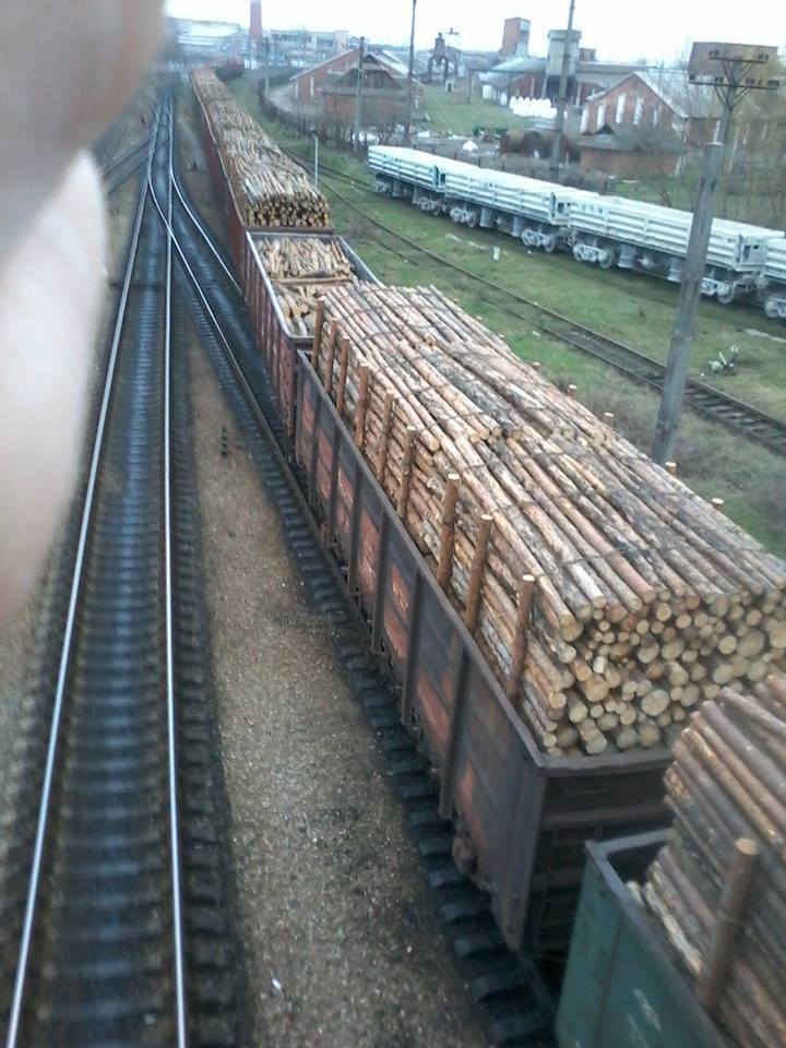 Вагони, які перевозять українську деревину